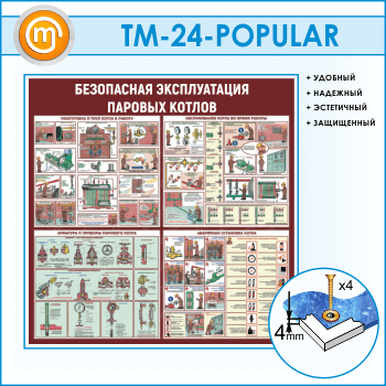 ����� ����������� ������������ ������� ������ (TM-24)